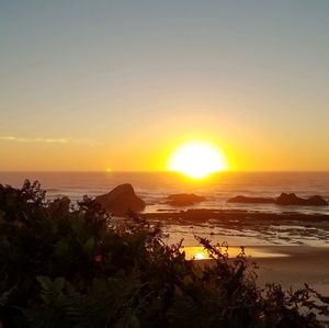 Meet your Posher, Pauline